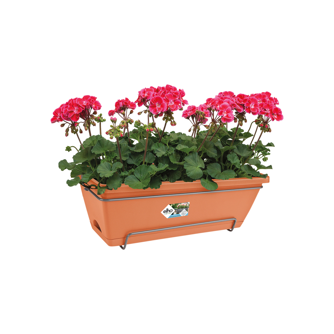 Pomarańczowa skrzynka balkonowa z czerwonymi kwiatami. Tło jest białe.