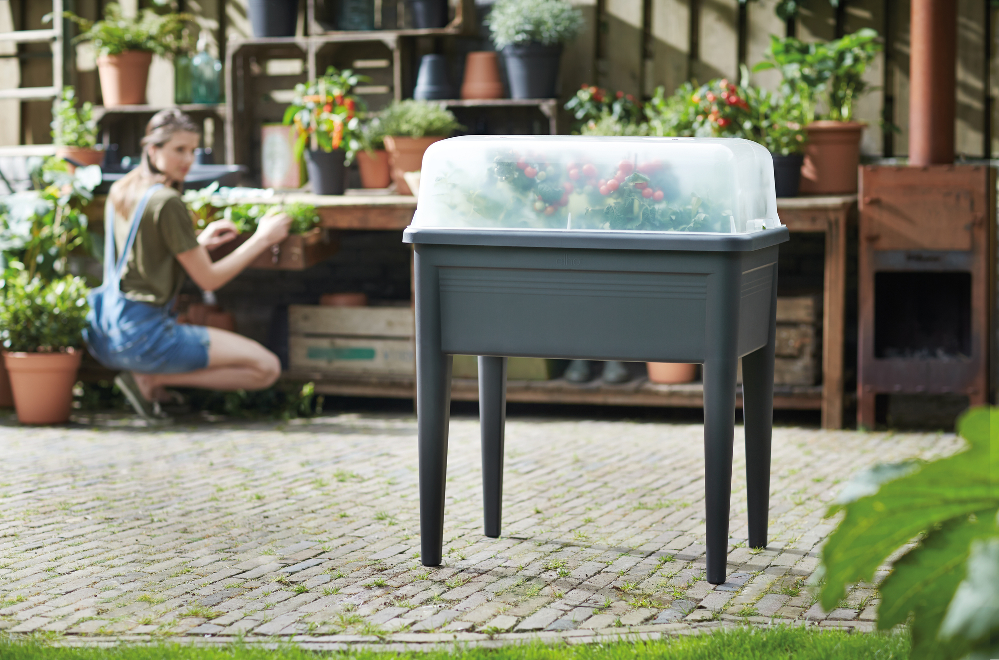 Eine Frau pflegt Pflanzen in einem Garten. Ein Hochbeet mit einem Gewächshaus davor.