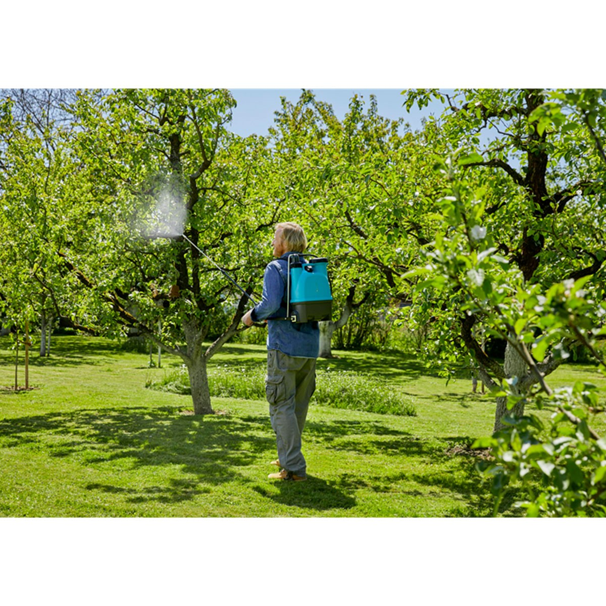 Een persoon die een boom besproeit met een blauwe en zwarte sproeier in een groene tuin.