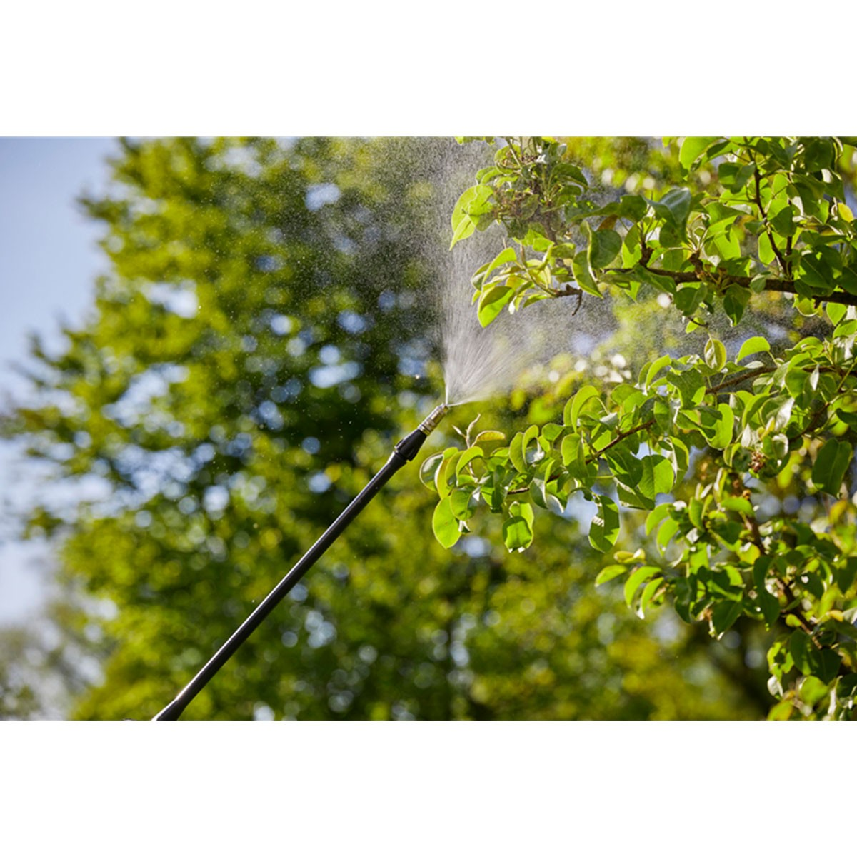 Een sproeier sproeit water op een tak met groene bladeren tegen een blauwe lucht.