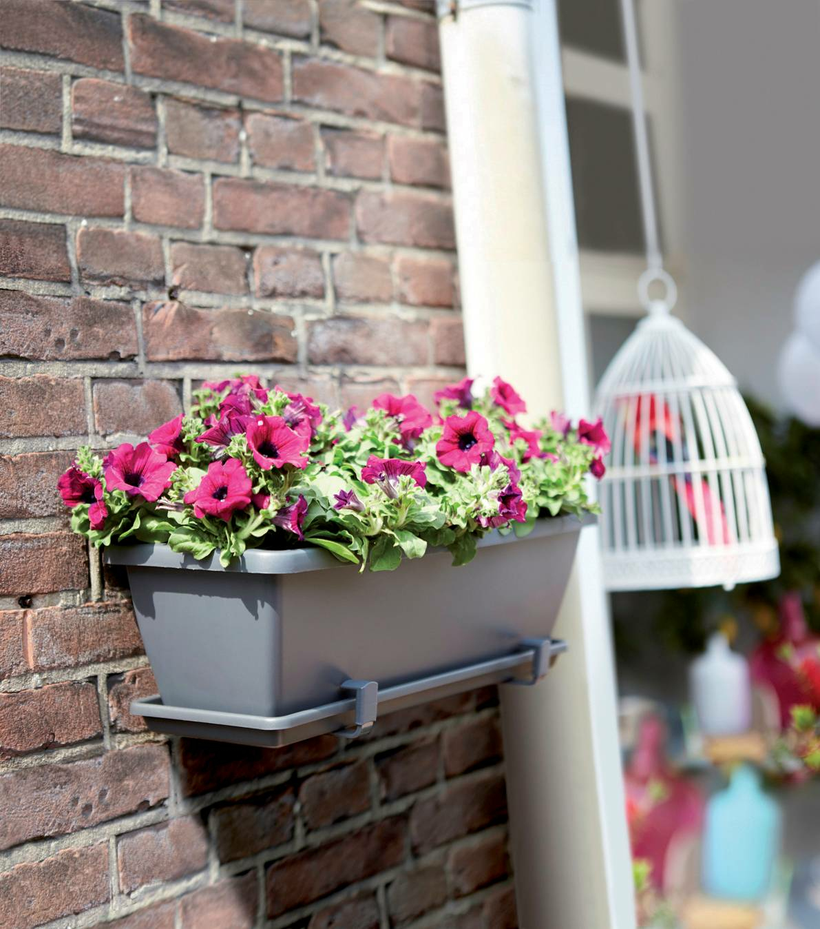 Szara prostokątna donica z różowymi kwiatami, zamontowana na ceglanej ścianie. Widoczna biała klatka dla ptaków.