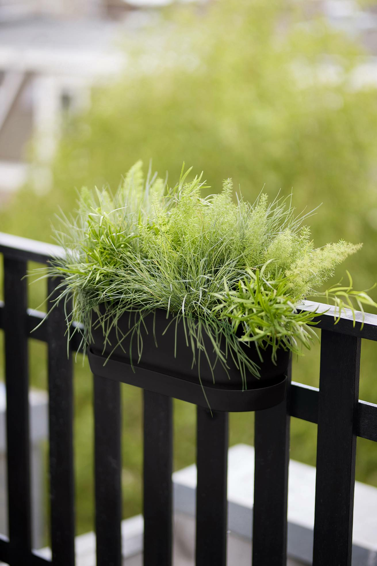 Czarna donica z zielonymi roślinami na czarnej balustradzie, z rozmytym zielonym tłem.