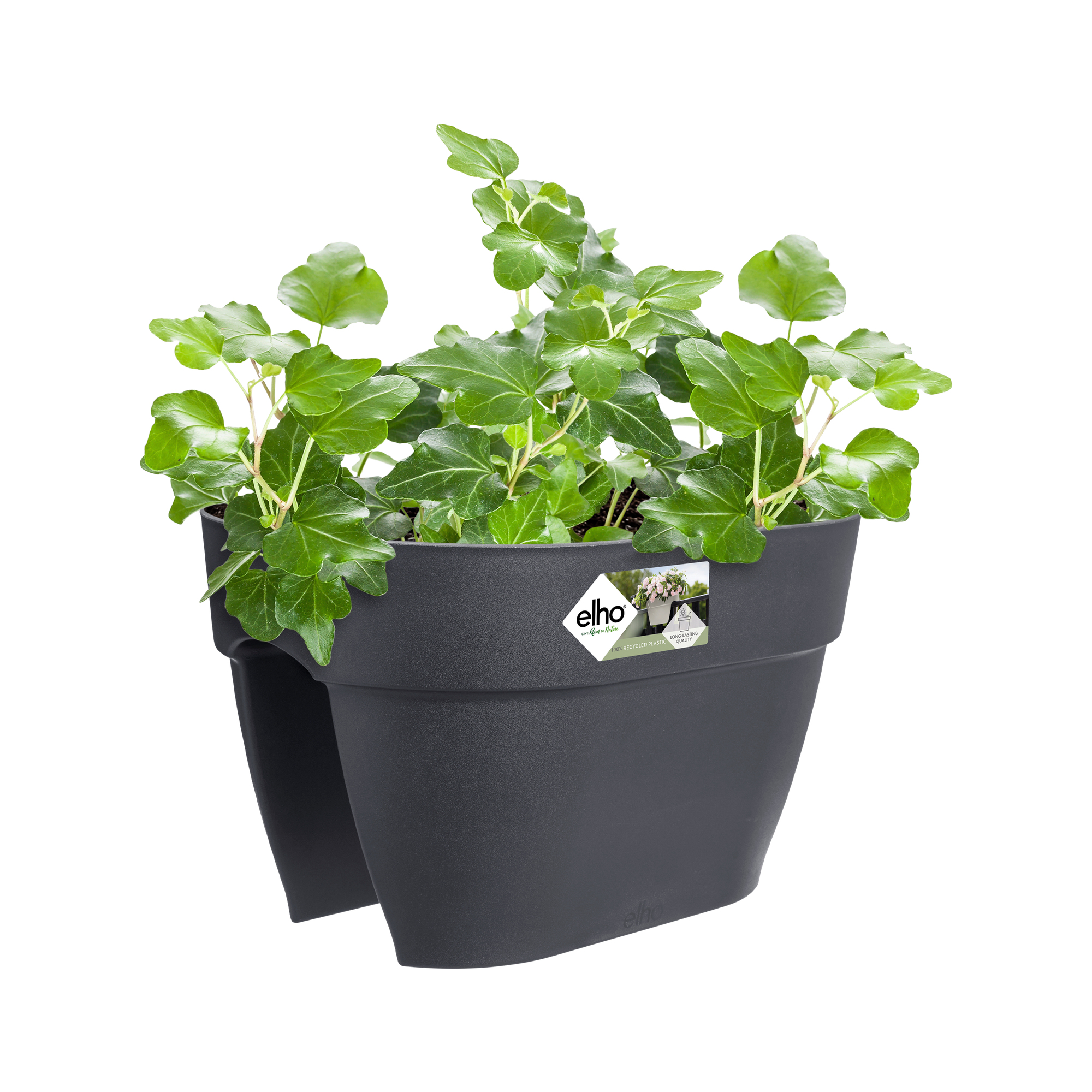 Ciemnoszara donica balkonowa wypełniona zielonymi roślinami bluszczu.