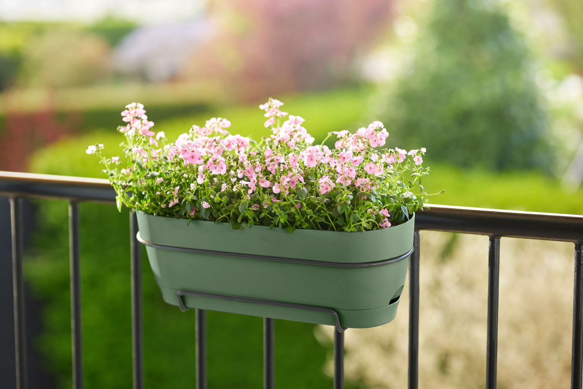 Zielona donica z różowymi kwiatami na balkonie, przymocowana do czarnej metalowej balustrady.