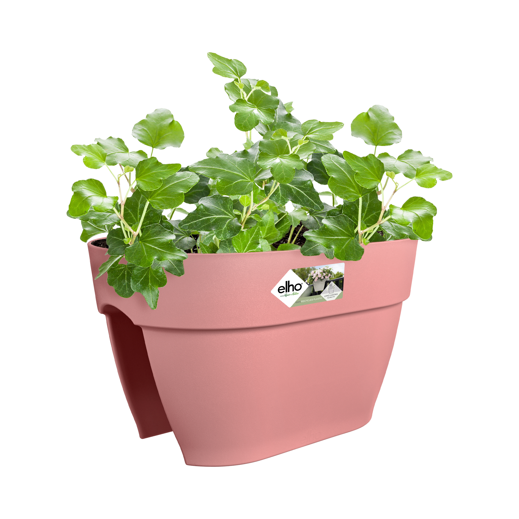 Różowa donica z zieloną rośliną. Marka Elho.