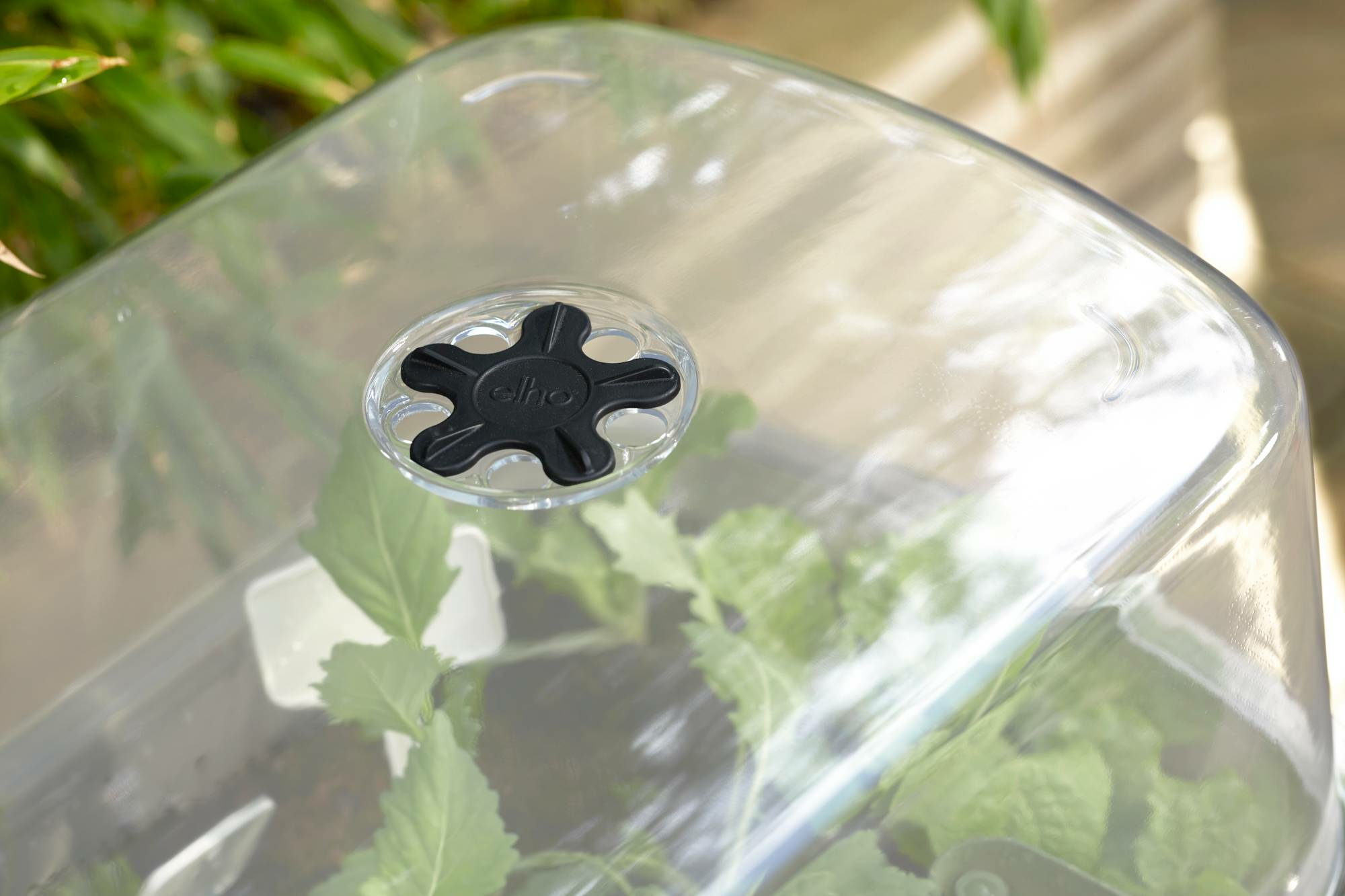Przezroczysta plastikowa pokrywa z czarnym plastikowym odpowietrznikiem. Marka Elho.