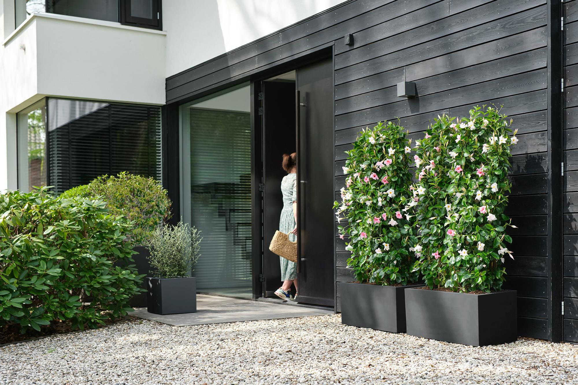 Kobieta otwiera czarne drzwi, aby wyjść na zewnątrz. Są dwa donice z różowymi kwiatami.