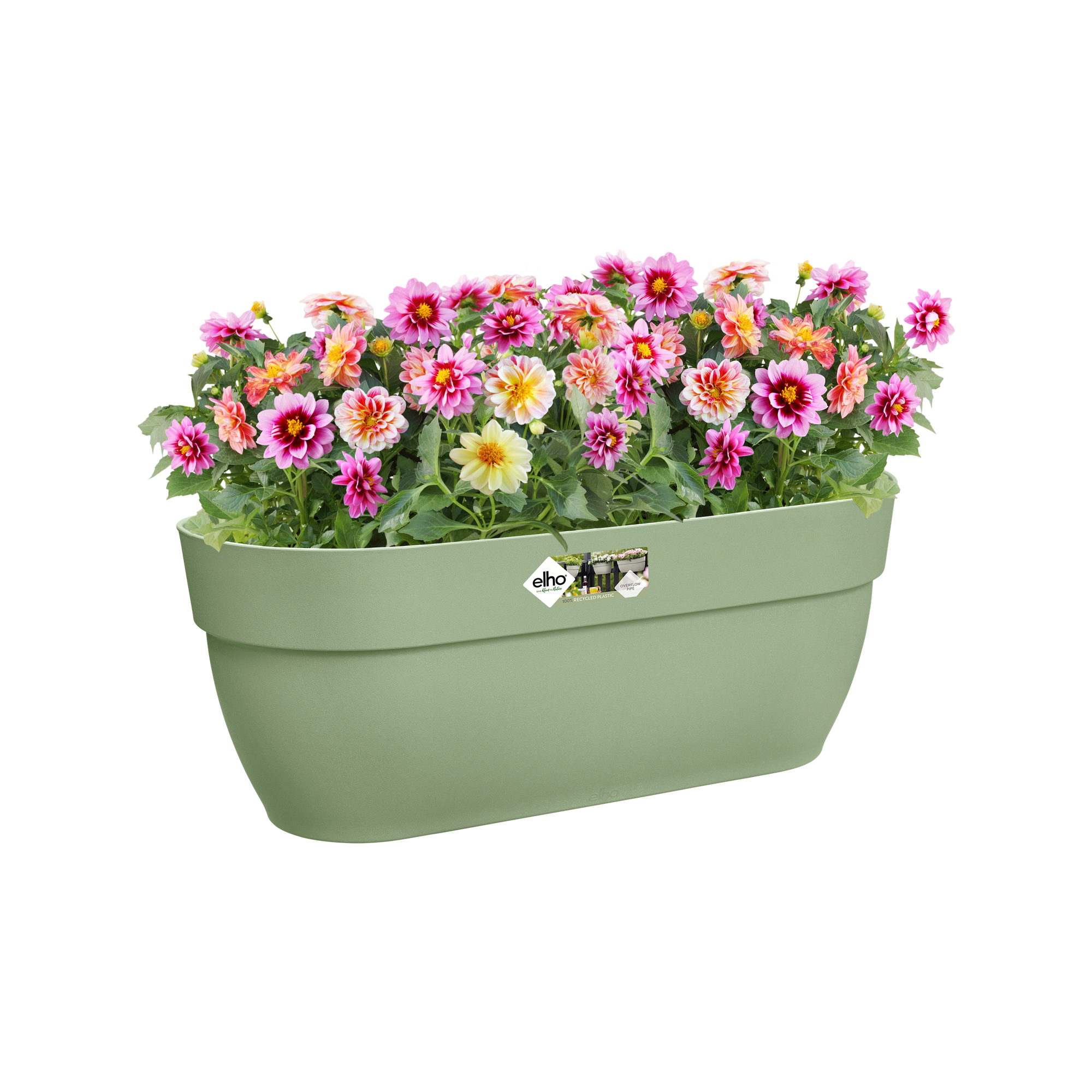 Zielona donica z kolorowymi kwiatami. Logo Elho widoczne.