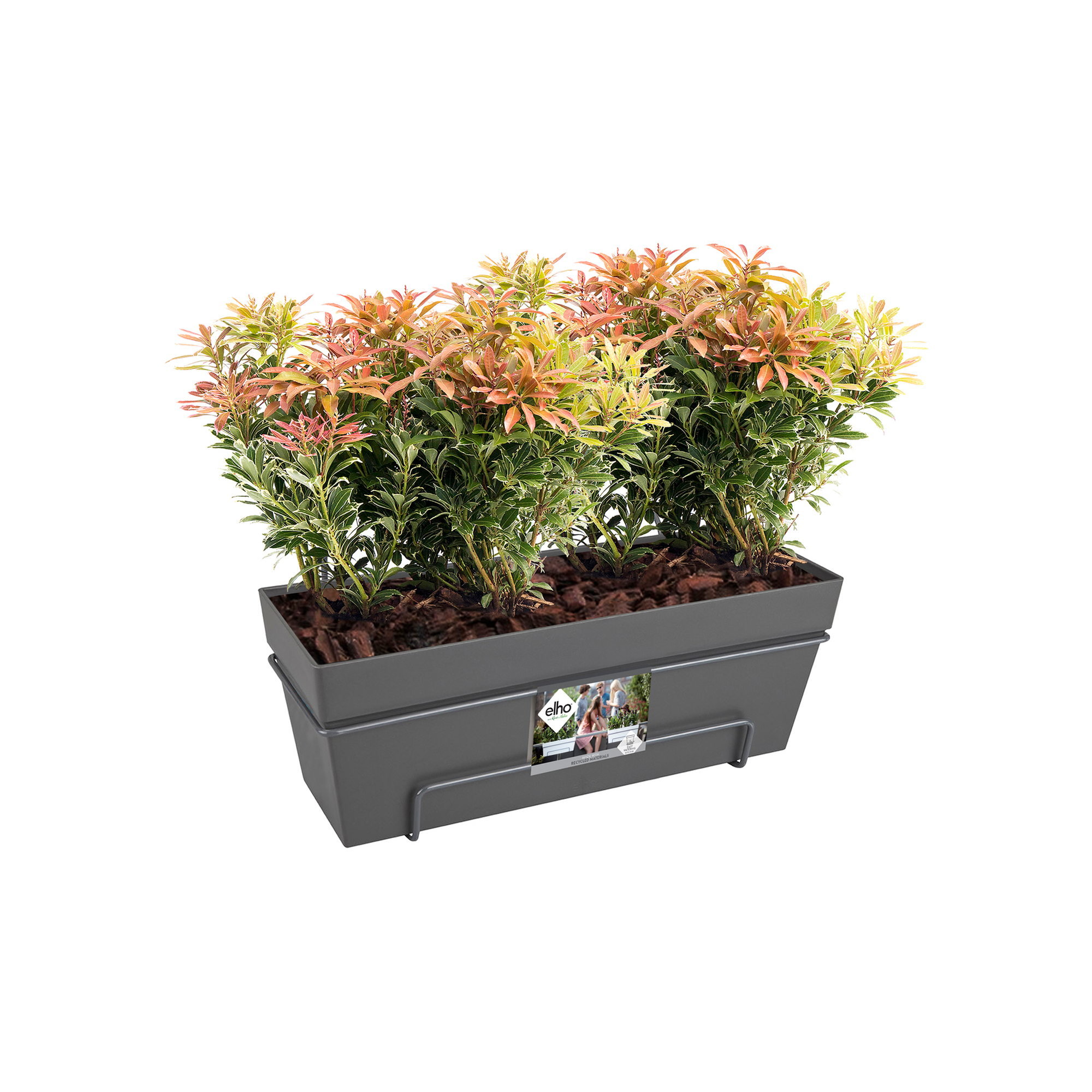 Szara donica z kolorowymi roślinami i korą. Metalowa rama. Białe tło.