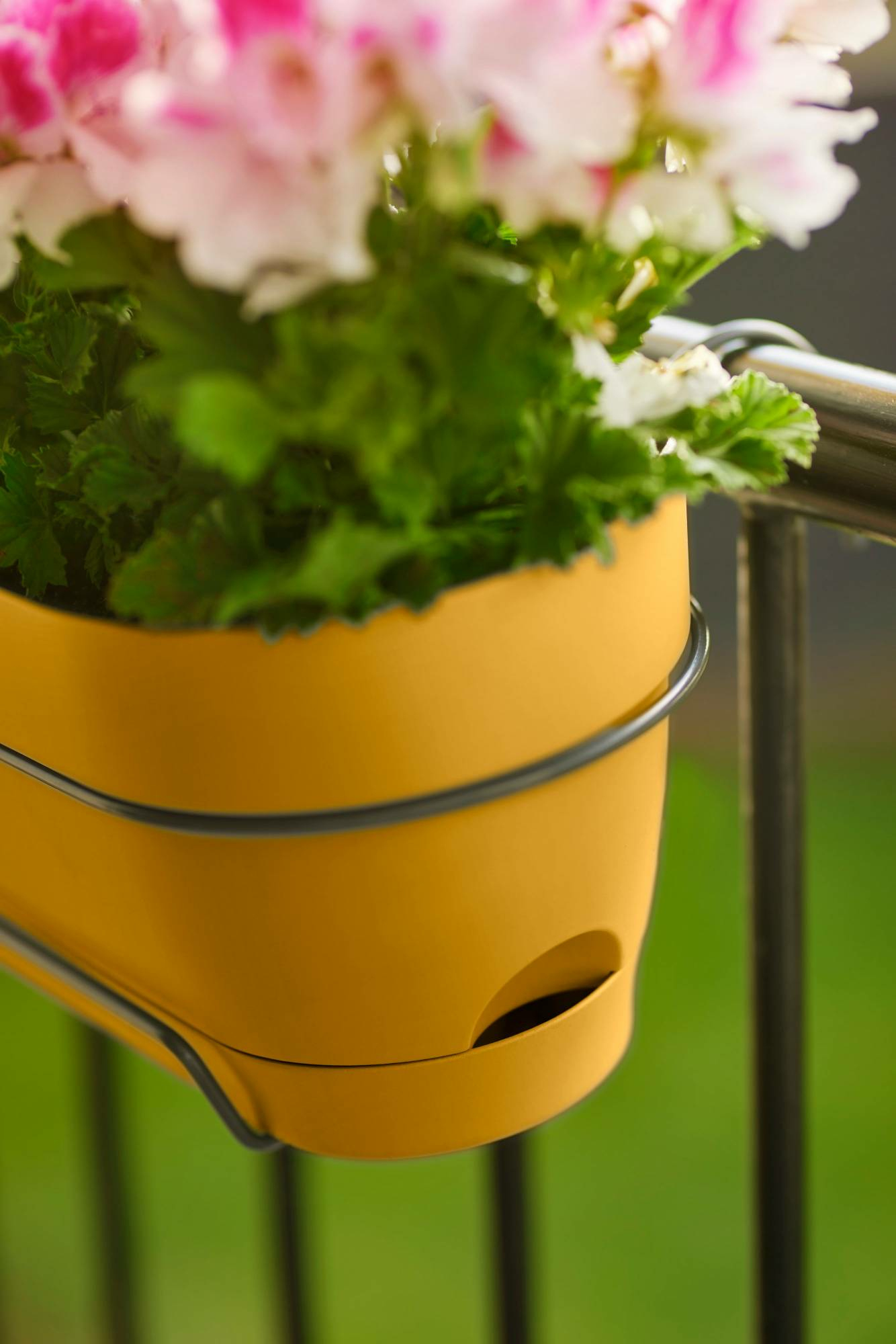 Zbliżenie żółtej donicy z różowymi i białymi kwiatami na balustradzie.