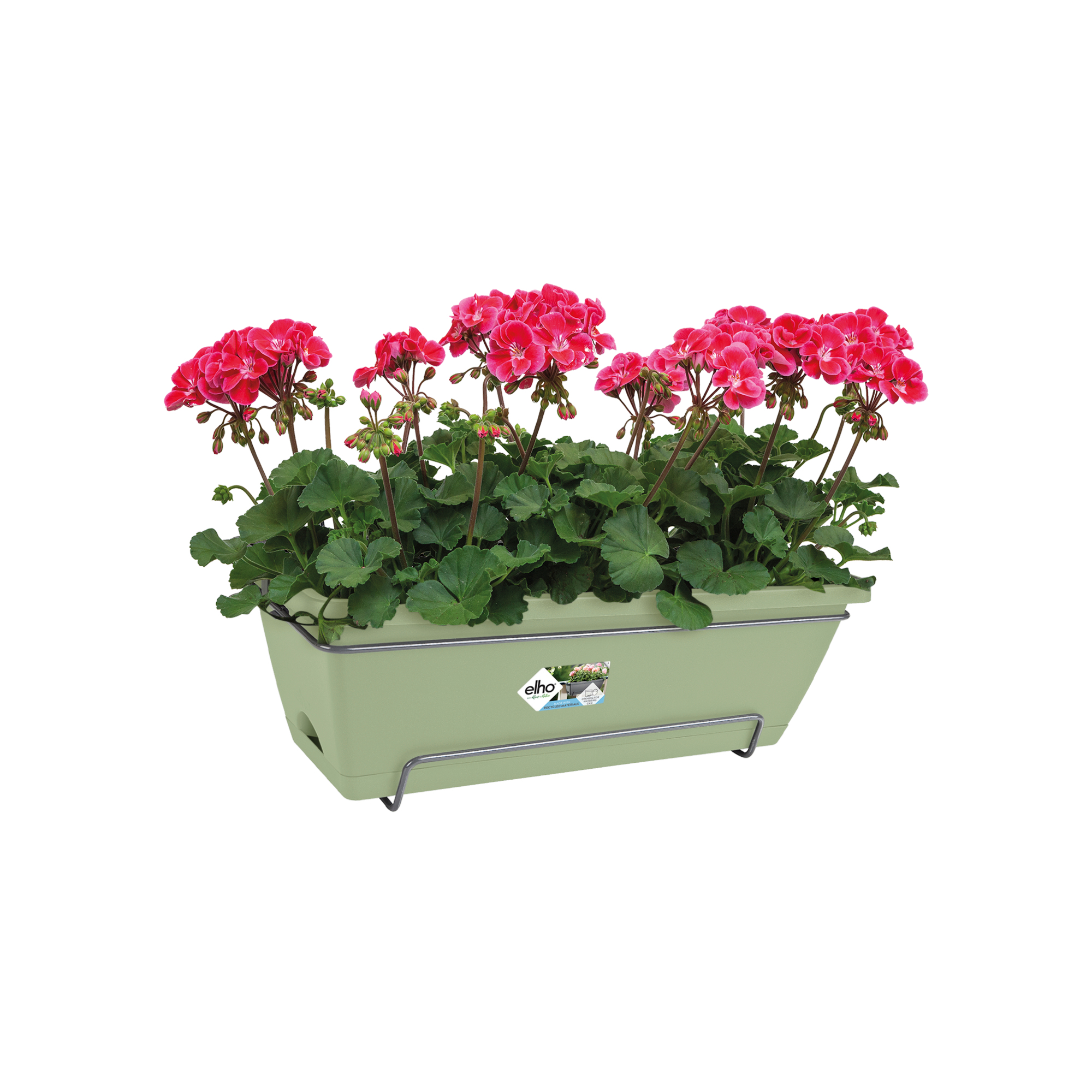 Zielona prostokątna donica z czerwonymi kwiatami. Ma drucianą ramę. Logo Elho.