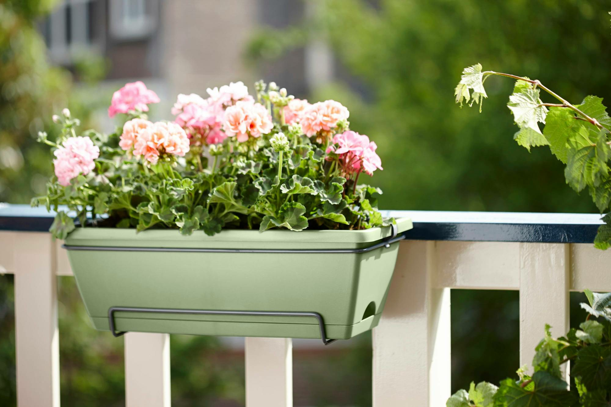 Zielona prostokątna donica z różowymi kwiatami, zawieszona na białej balustradzie. Widok z boku.
