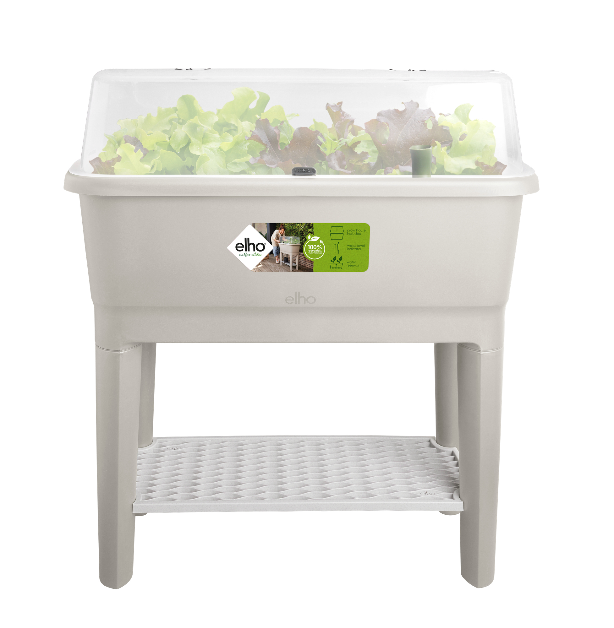 Beżowa stacja do przesadzania z przezroczystą pokrywą, sałata, białe tło.