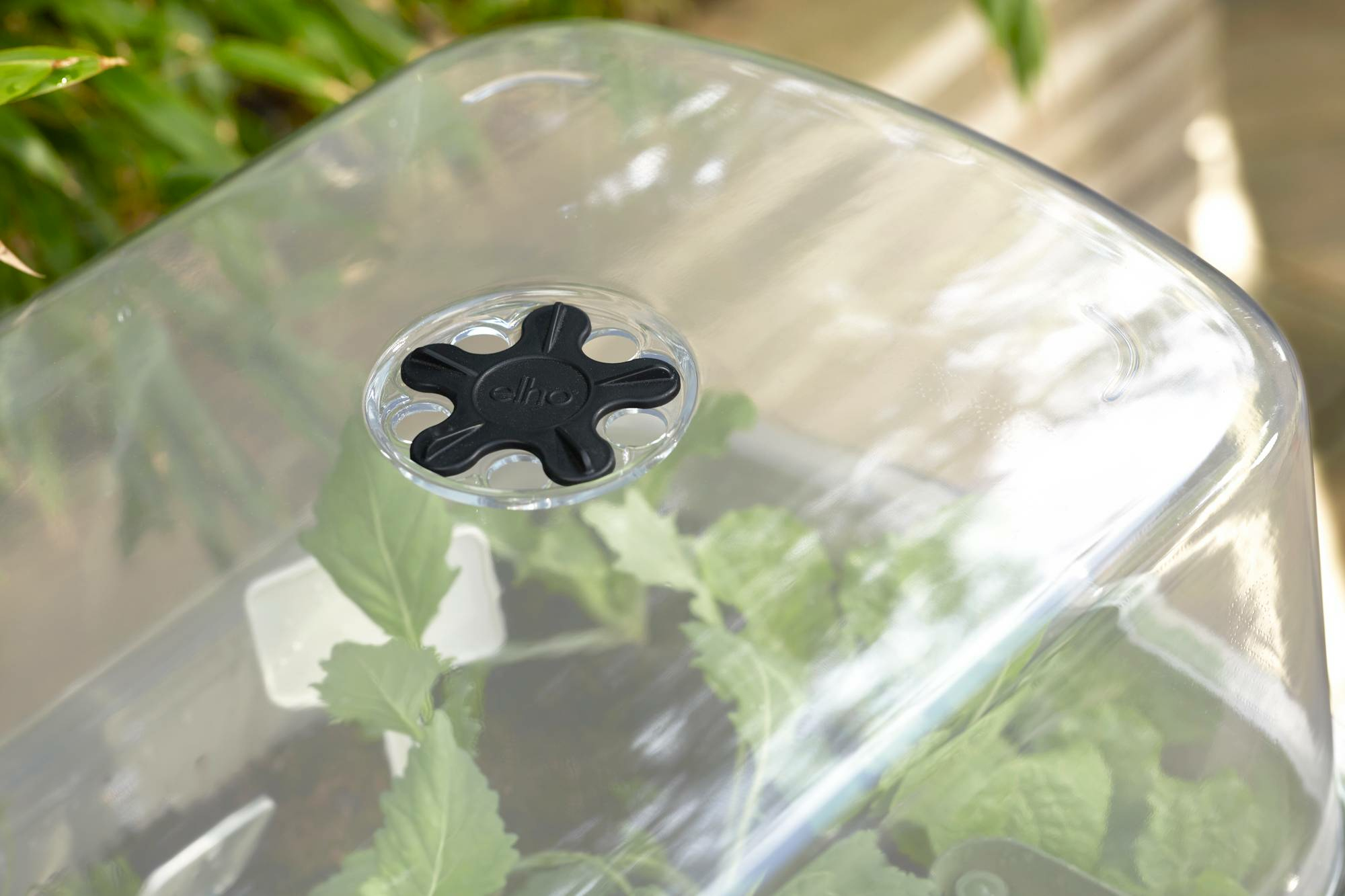 Zbliżenie przezroczystej pokrywy z czarnym logo elho na beżowej stacji do przesadzania.