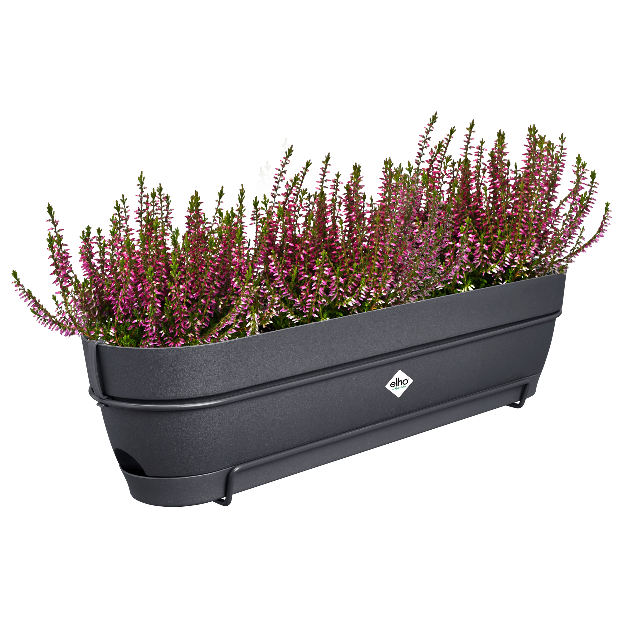 Szara donica z różowymi kwiatami, logo Elho i metalowym uchwytem.