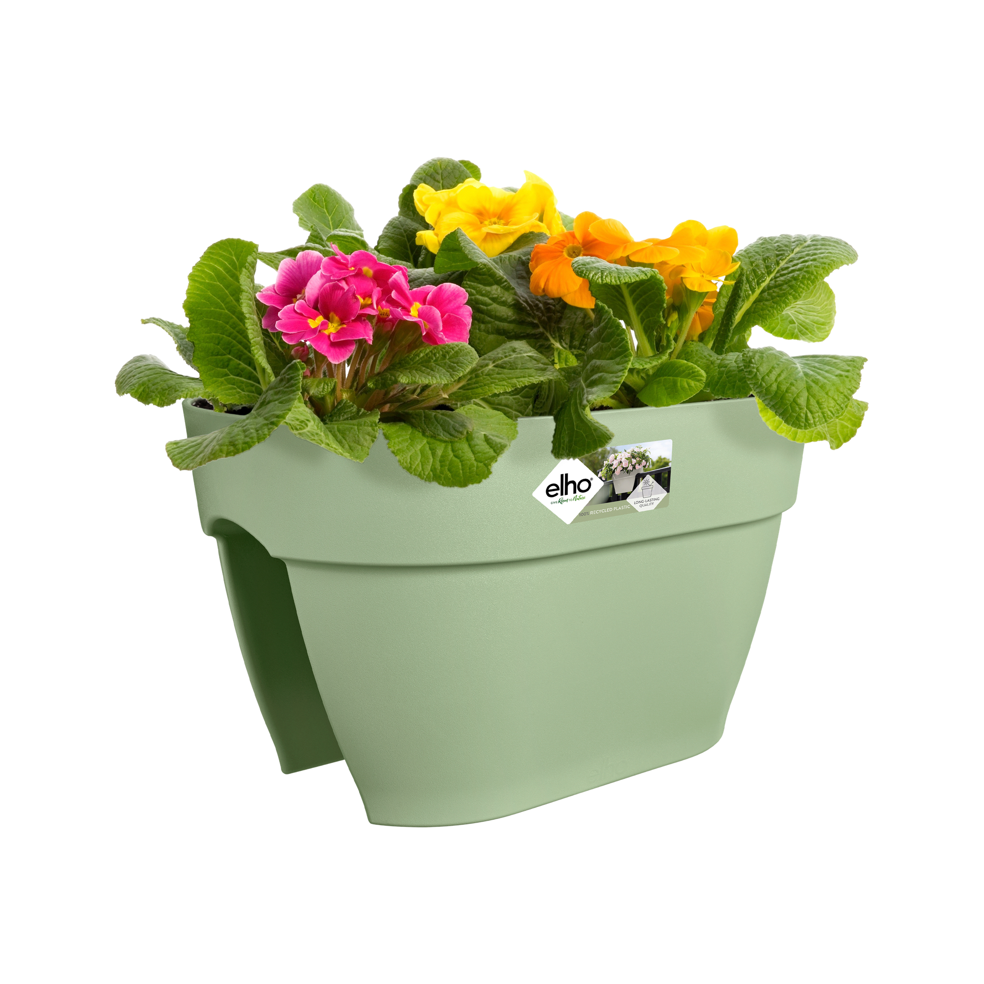 Jasnozielona donica wisząca z żółtymi i różowymi kwiatami. Białe tło.