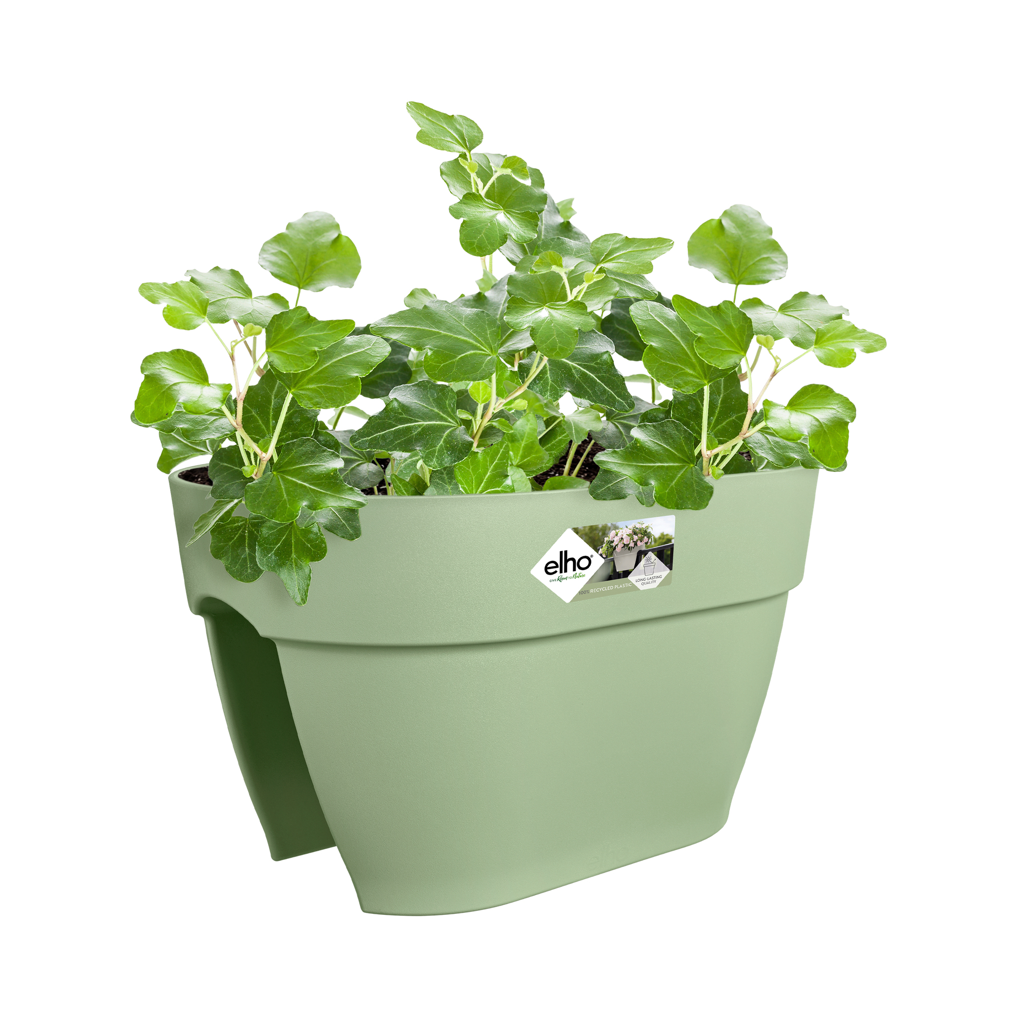 Jasnozielona donica wisząca z bluszczem. Białe tło. Logo Elho.