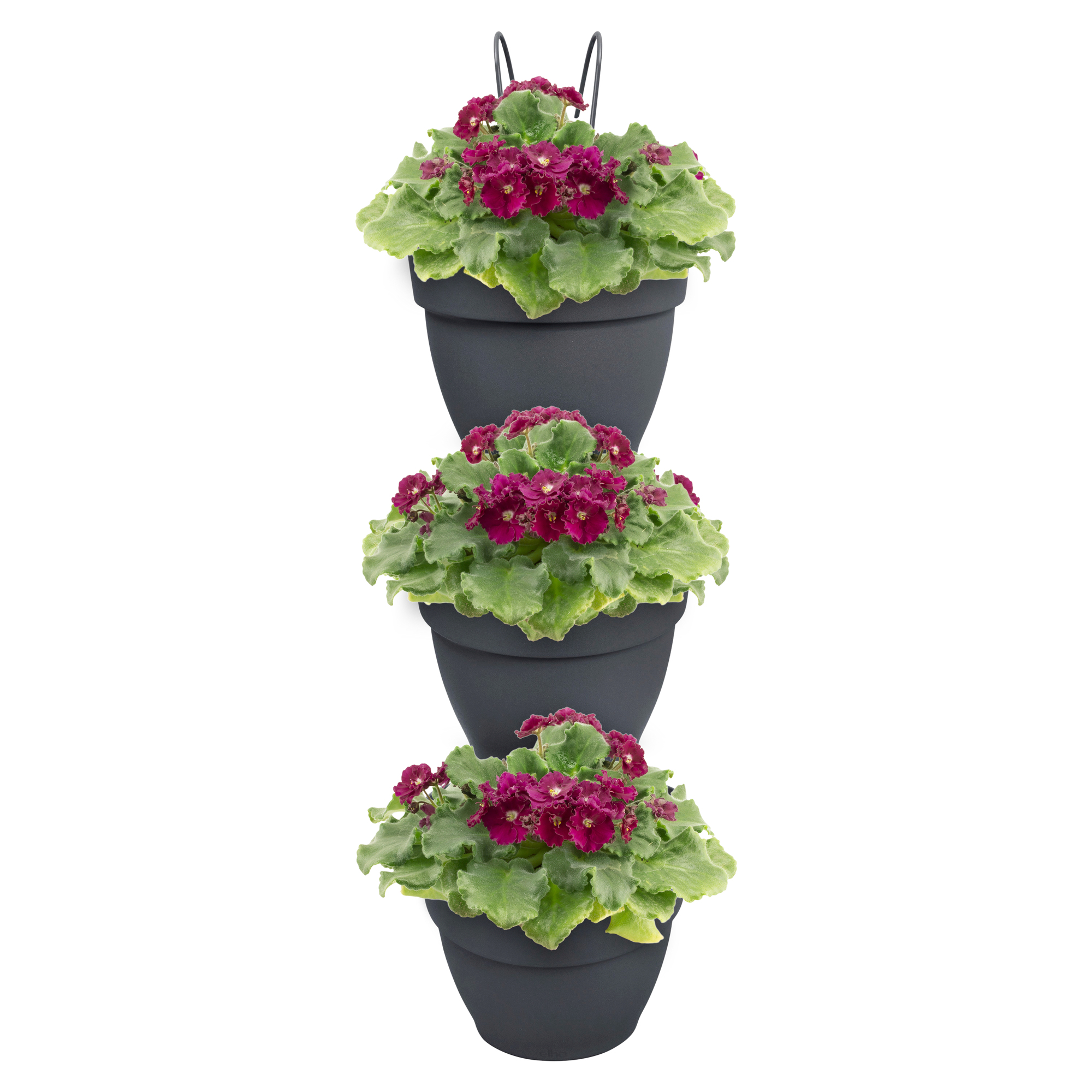 Ciemnoszara, trójpoziomowa donica wisząca z fioletowymi kwiatami. Białe tło.