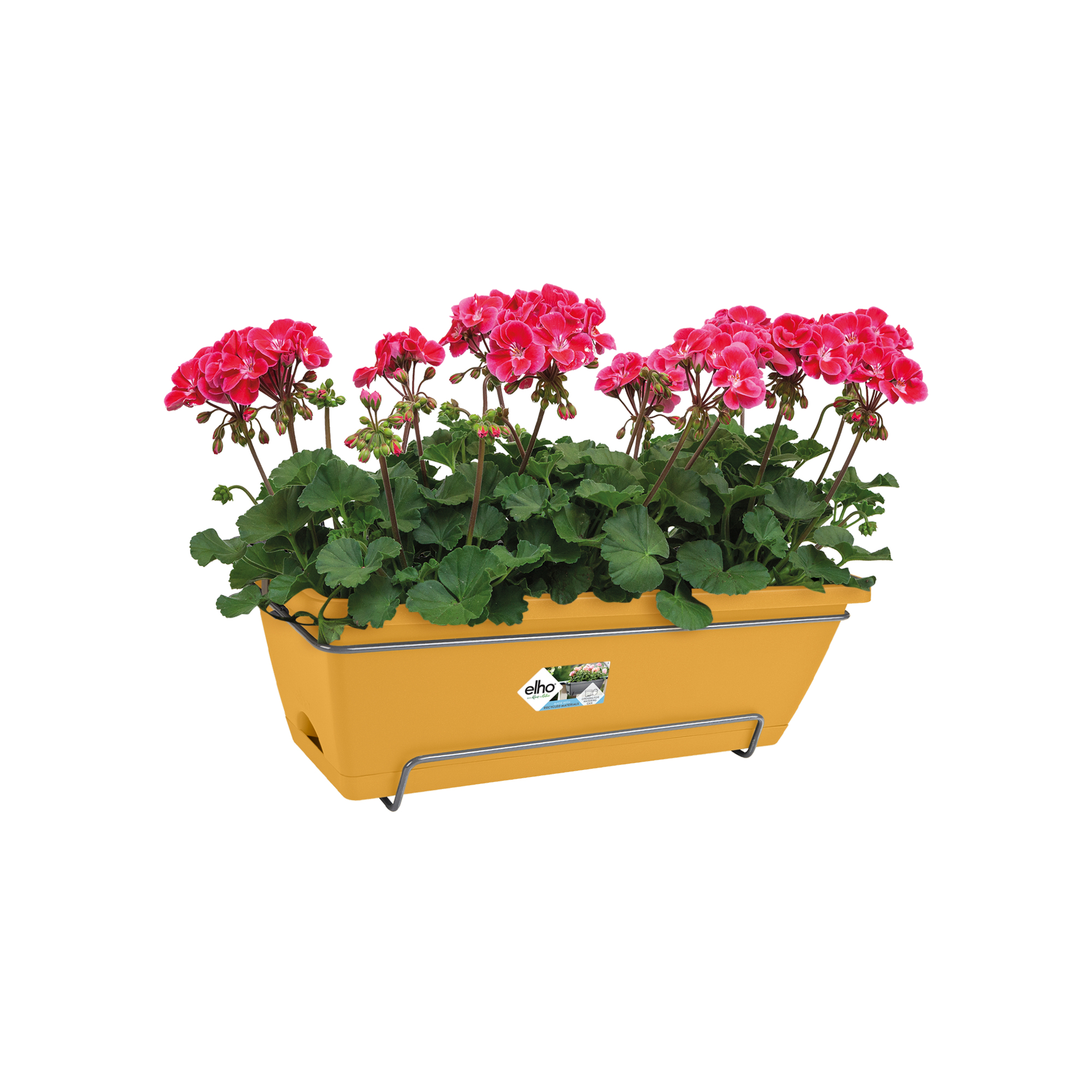 Żółta donica z czerwonymi kwiatami, metalowym wspornikiem, na białym tle.