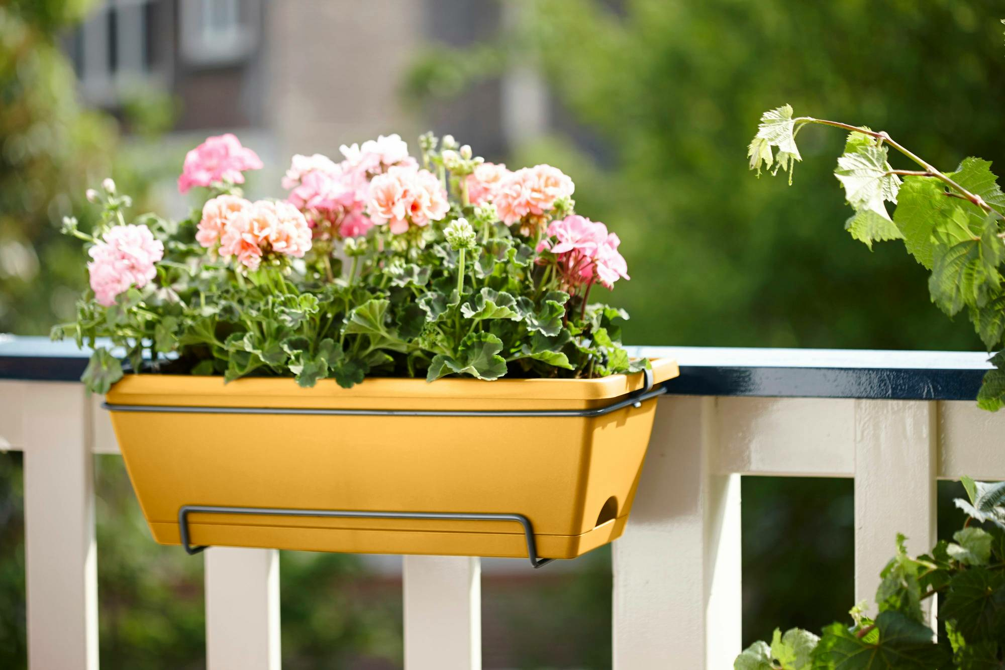 Żółta donica z różowymi kwiatami na balkonie, z rozmytym tłem.