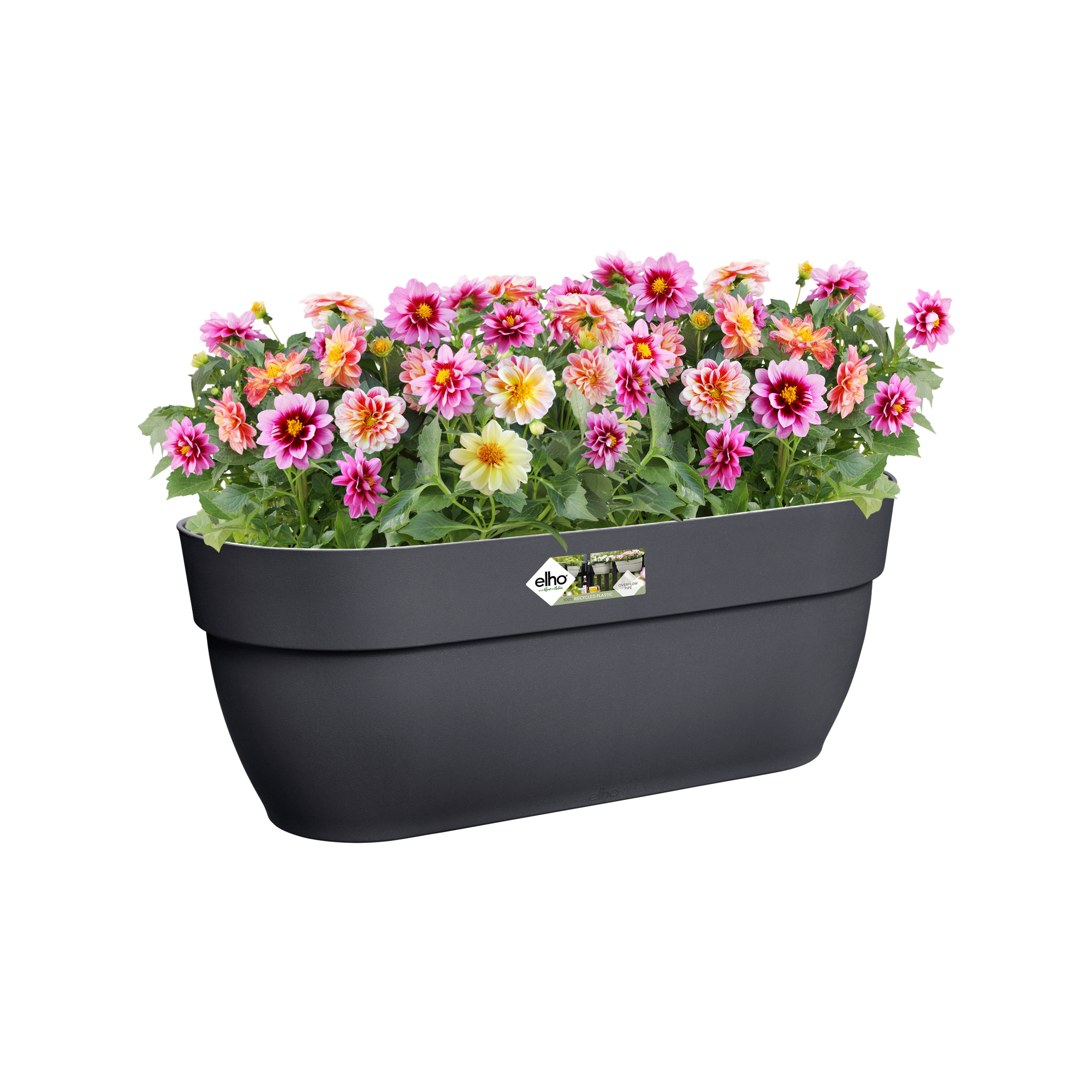 Ciemnoszara prostokątna donica z kolorowymi kwiatami na białym tle.