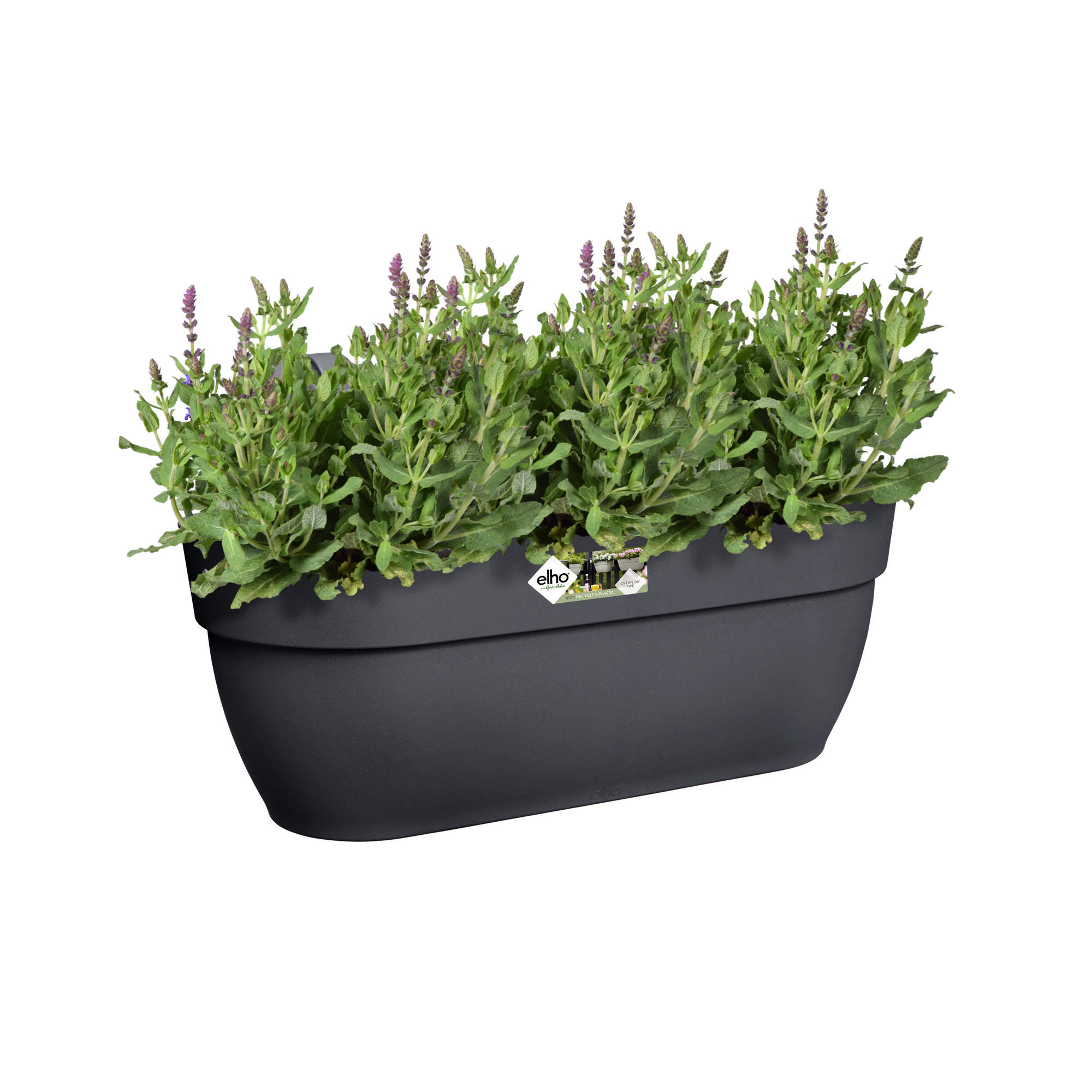 Ciemnoszara prostokątna donica z zielonymi roślinami na białym tle.