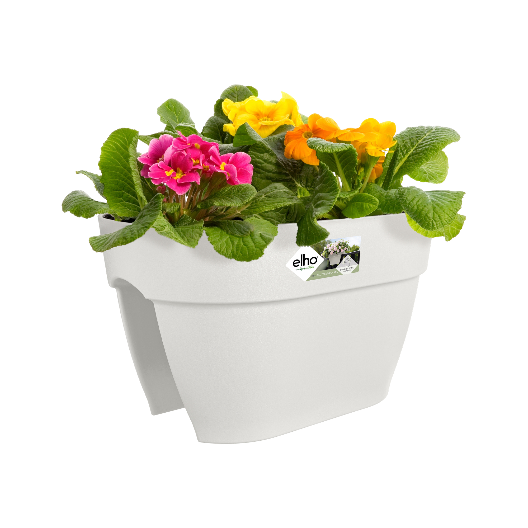 Biała donica z żółtymi, różowymi i pomarańczowymi kwiatami na białym tle.