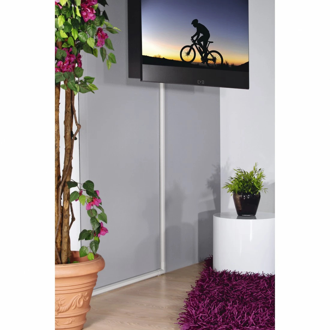 Telewizor z sylwetką rowerzysty na ścianie. Roślina w doniczce i fioletowy dywan.