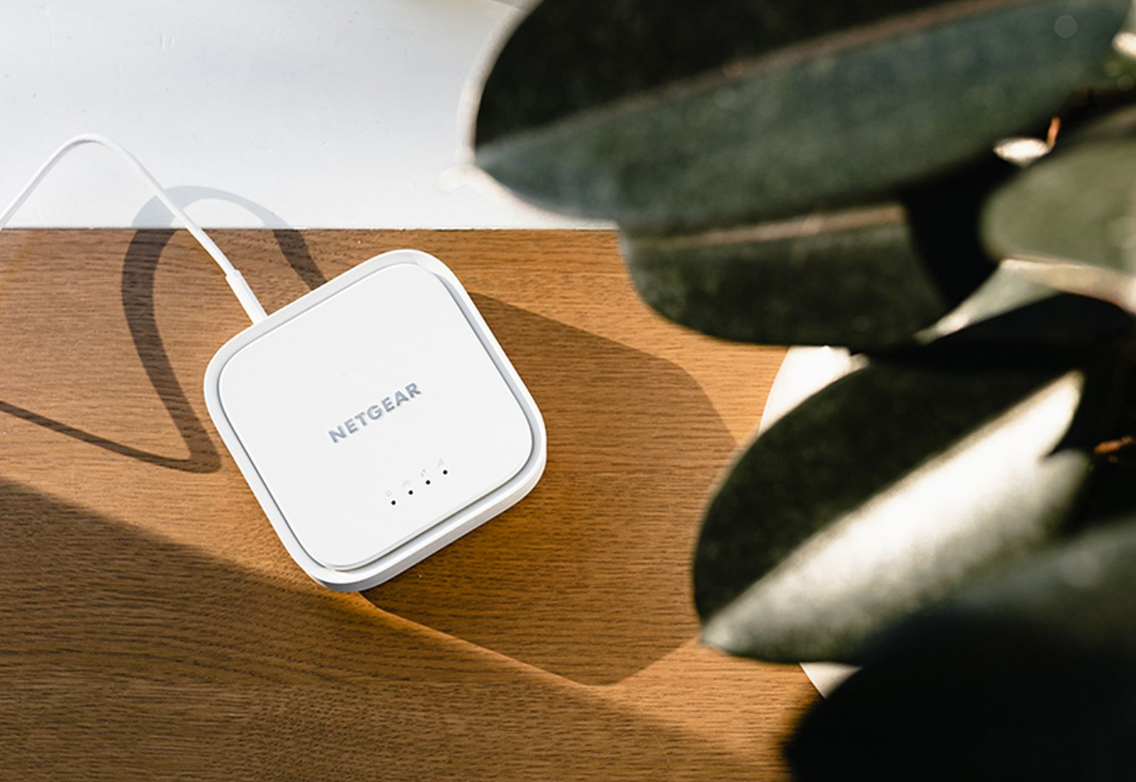 Un enrutador Netgear blanco sobre una mesa de madera junto a una planta verde.