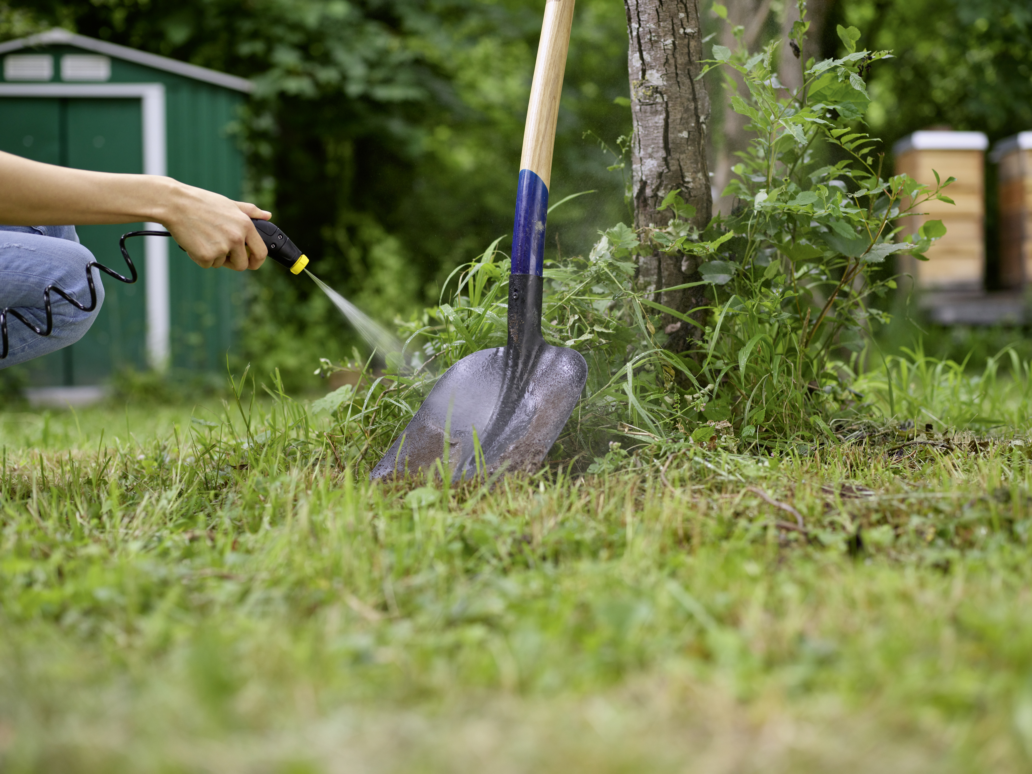 A person spraying water from a hose onto grass with a shovel.