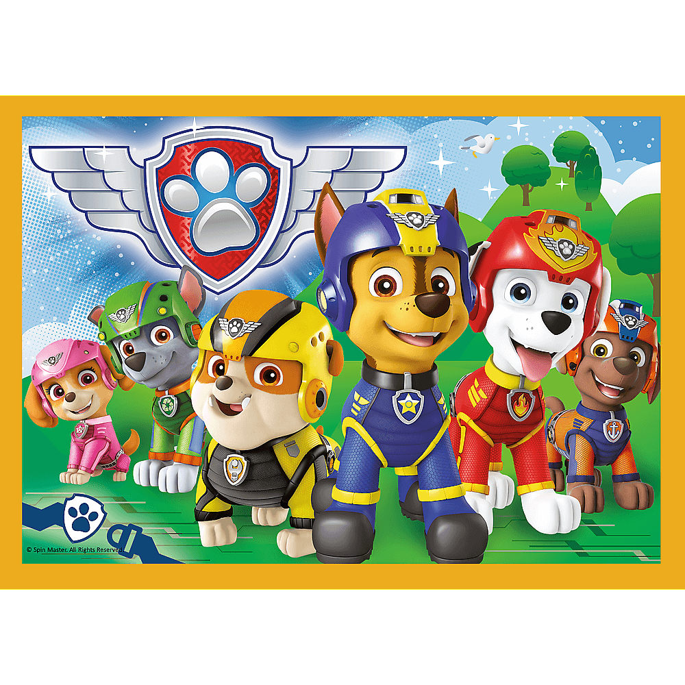 Paw Patrol team in their uniforms. Skye, Marshall, Rubble, Chase, Zuma and Rocky are lined up.