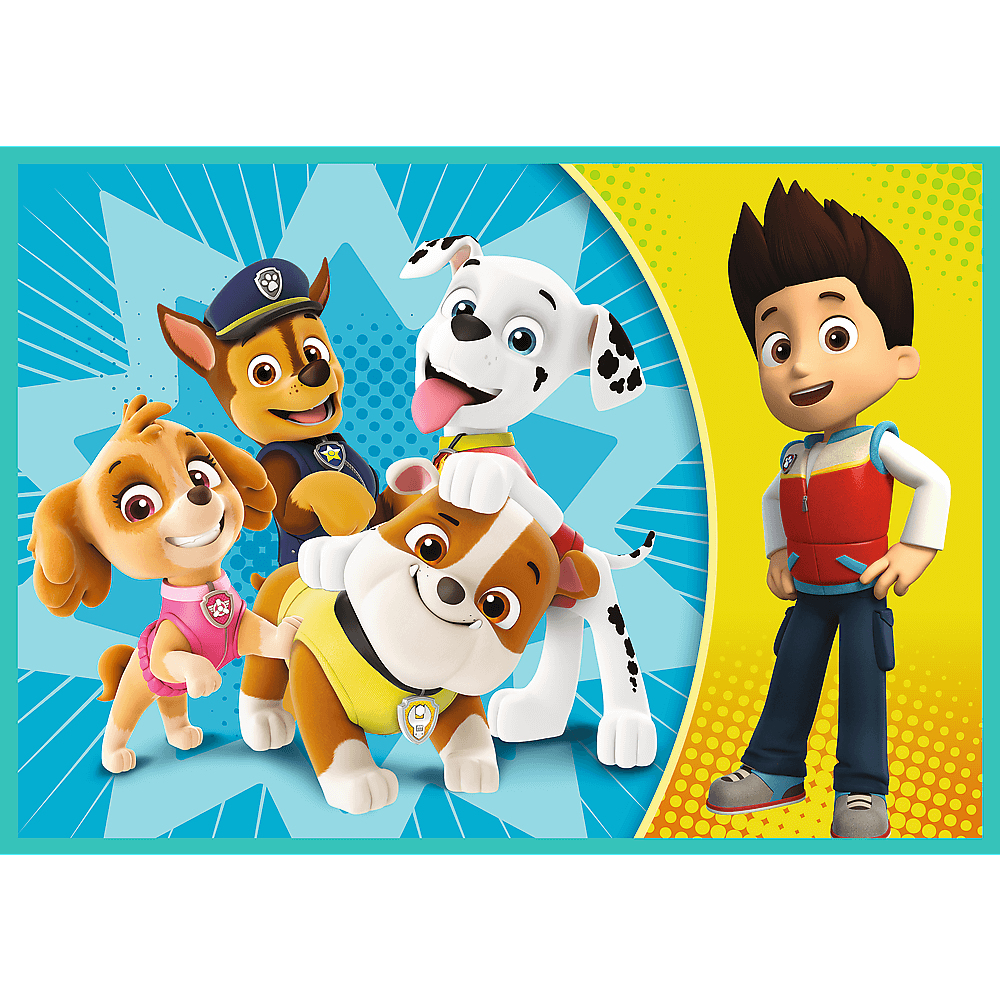 Personaggi di Paw Patrol e un bambino. Chase, Marshall, Skye e Rubble sorridono. Ryden è in piedi.
