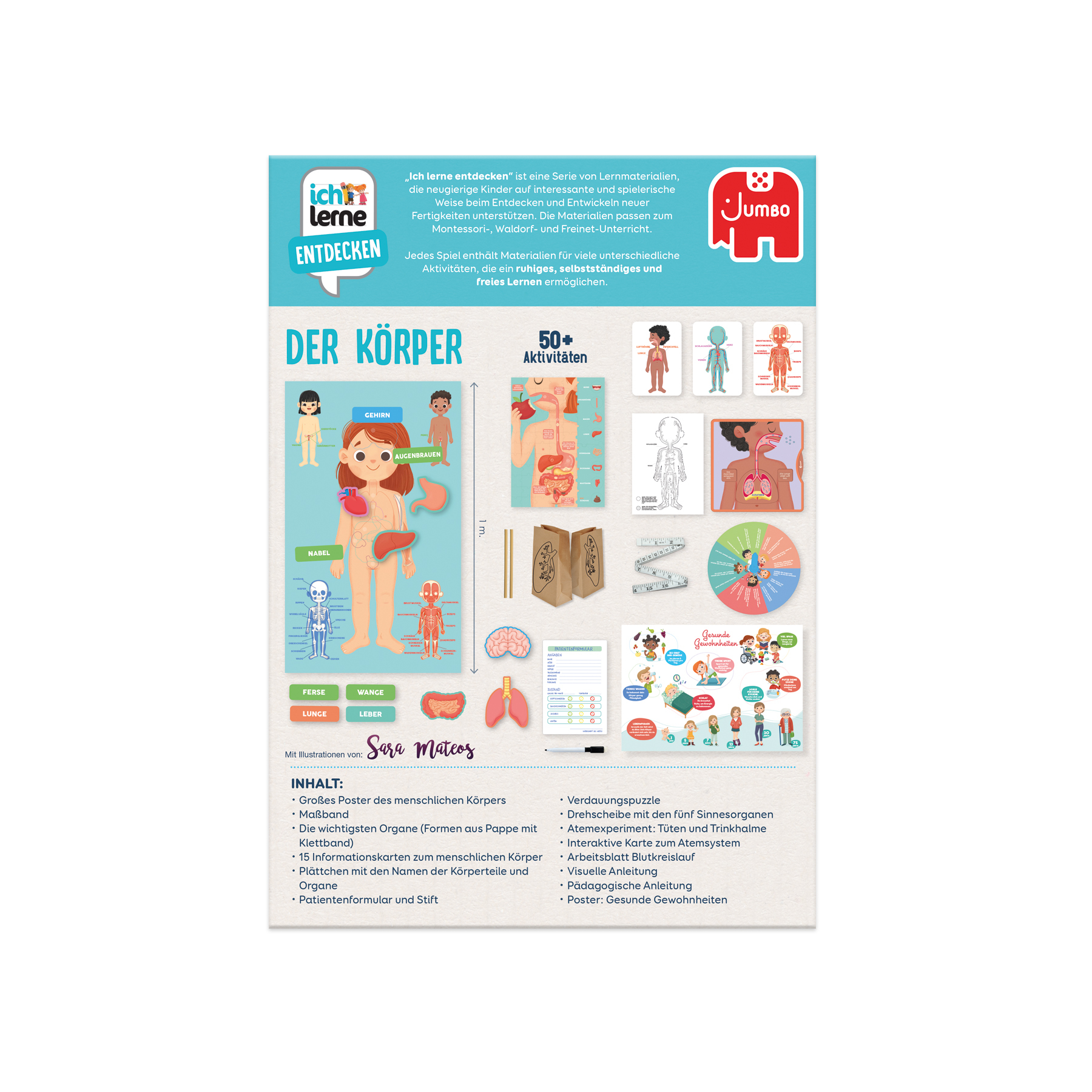 Lehrreiches Poster über den menschlichen Körper mit Illustrationen, Text und Kinderzeichnung.