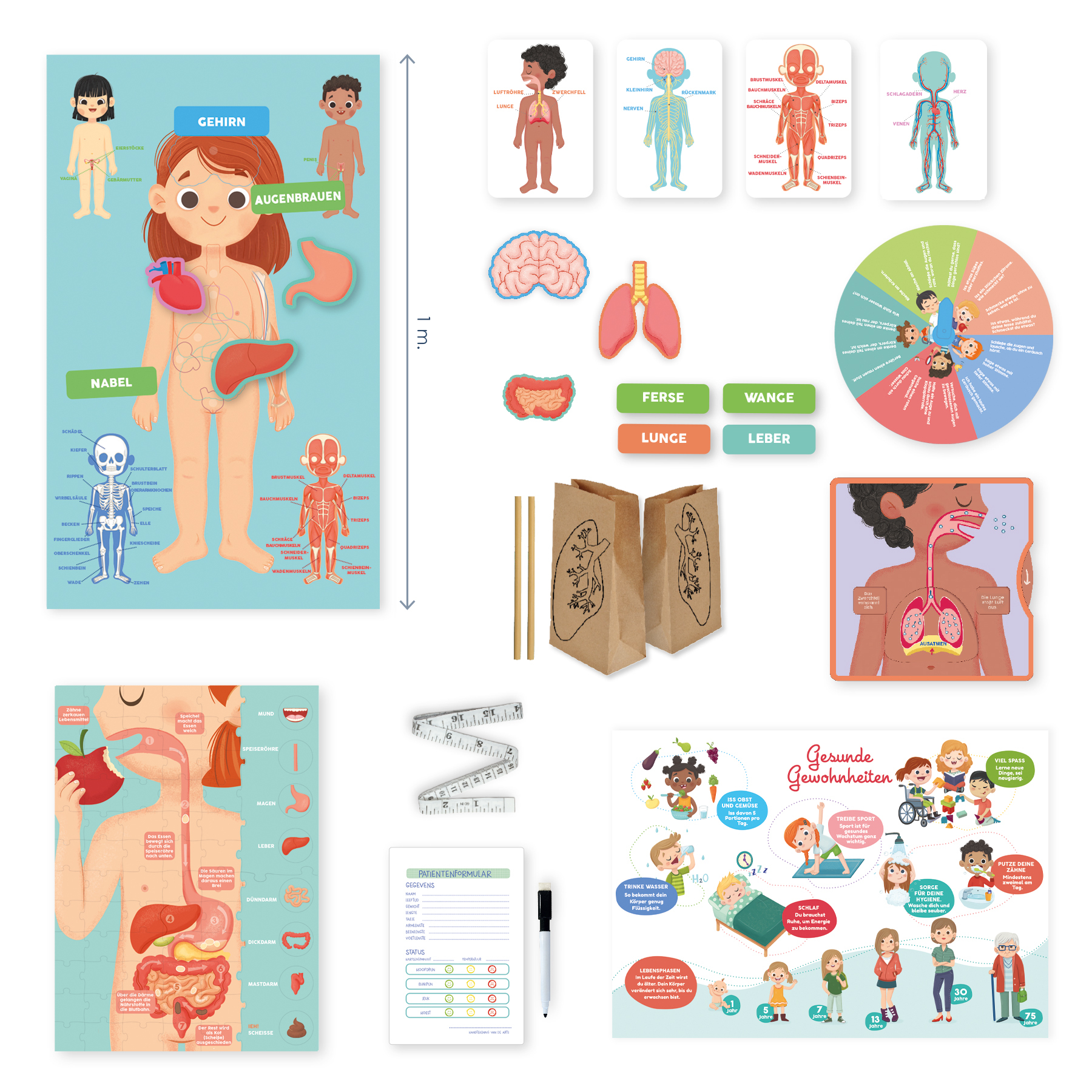 Lehrreiche Poster über menschliche Anatomie und gesunde Gewohnheiten.