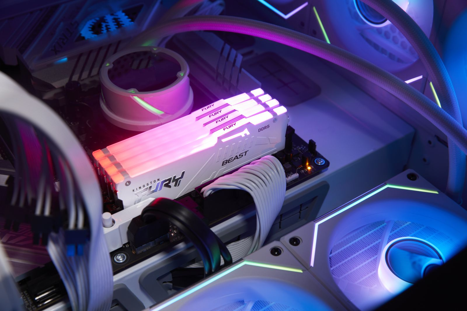 Elementy komputera z efektami świetlnymi. Widoczny RAM i chłodnica.