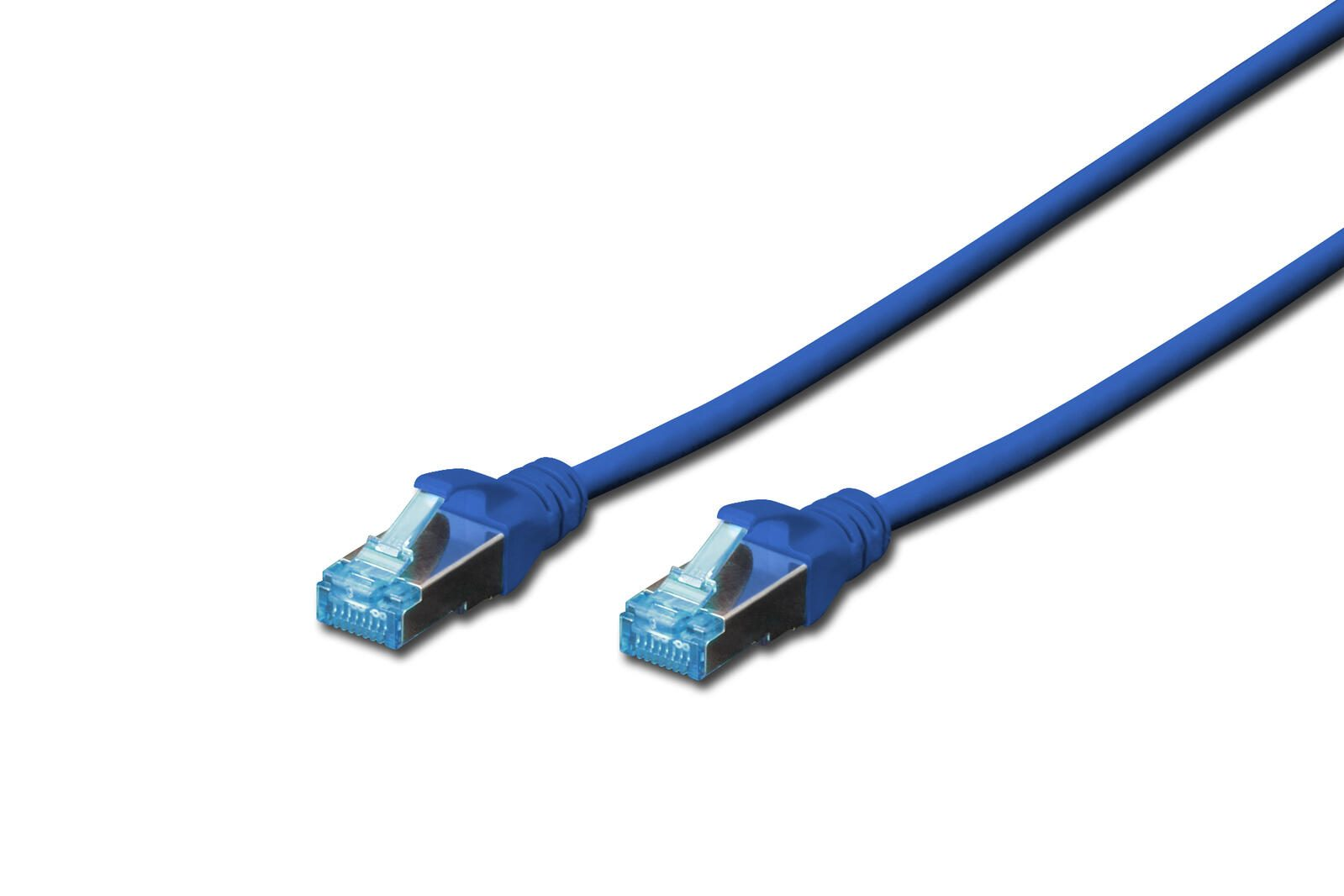 Cavi ethernet blu con connettori blu su sfondo bianco.