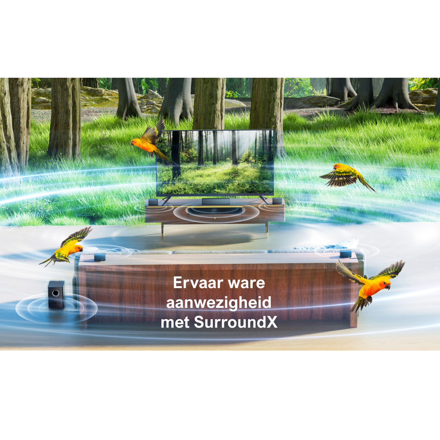 Image of a forest with parrots. Text says 'Ervaar ware aanwezigheid met SurroundX'.