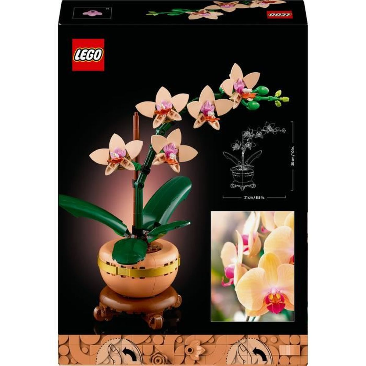 Pudełko zestawu LEGO orchidea. Pokazuje orchideę LEGO z kwiatami. Zawiera doniczkę i stojak.