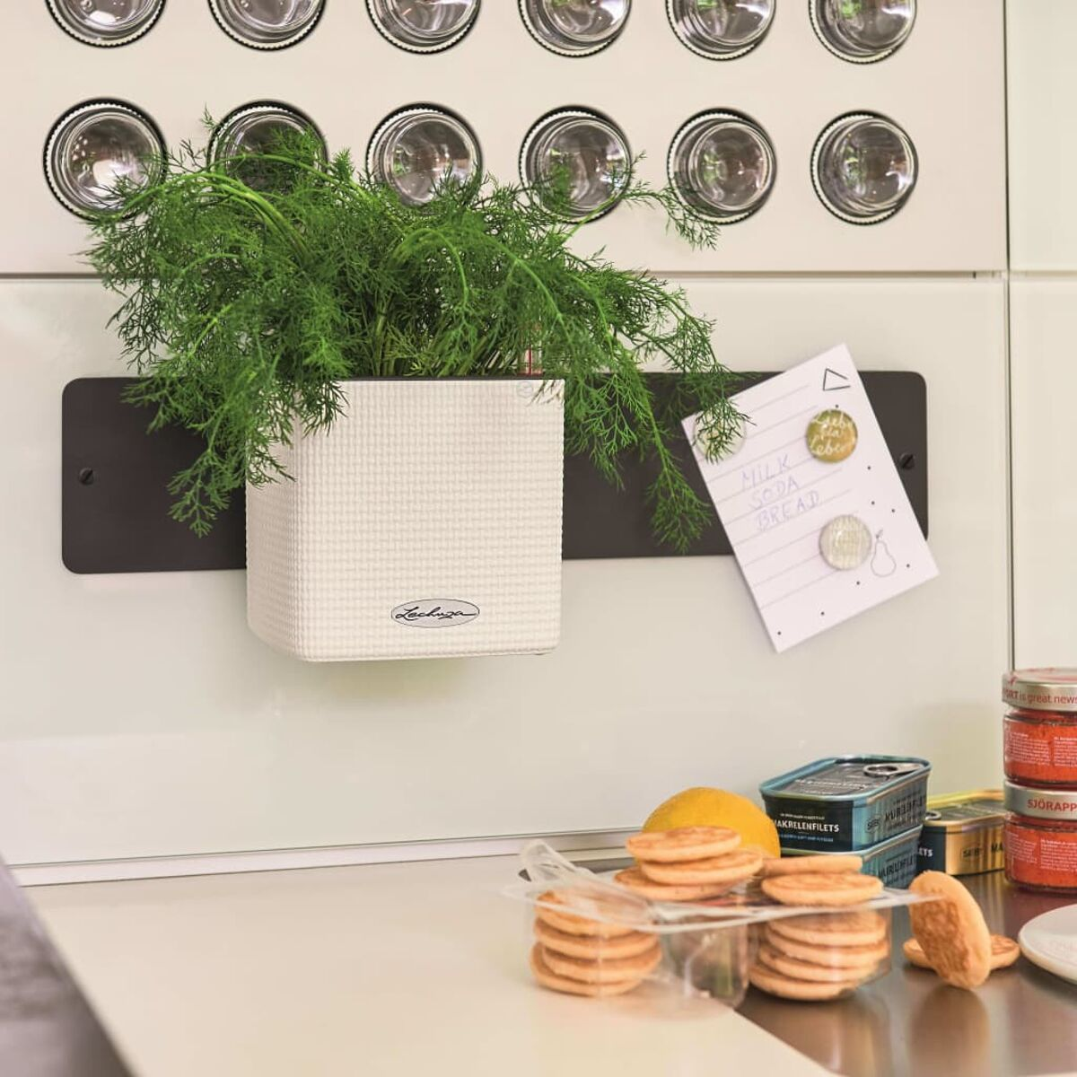 Une scène de cuisine avec une plante en pot, une liste de courses et des bocaux de nourriture. Lumineux et aéré.