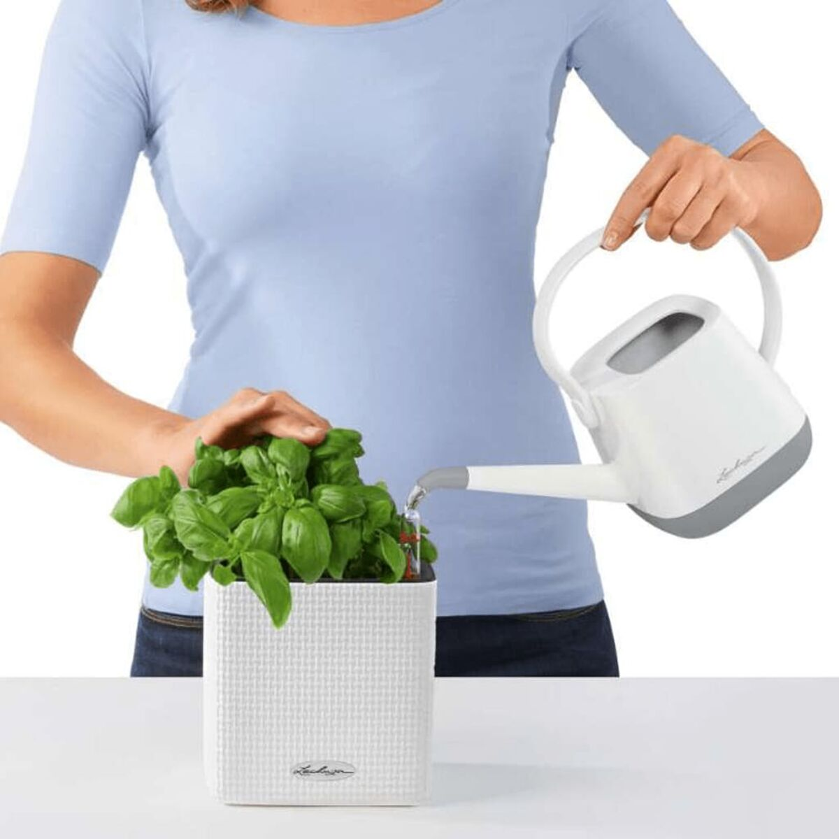 Femme arrosant une plante avec un arrosoir blanc. La plante est dans un pot carré blanc.