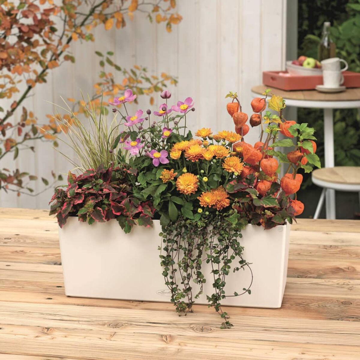Ein Pflanzgefäß gefüllt mit verschiedenen Blumen auf einem Holztisch.