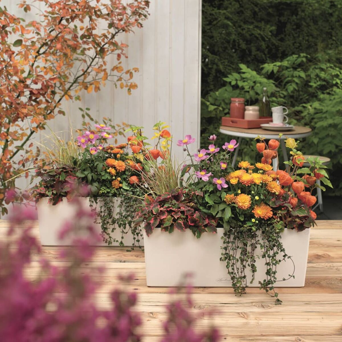 Zwei weiße Pflanzkästen mit bunten Blumen auf einer Holzterrasse, im Hintergrund ein Tisch.
