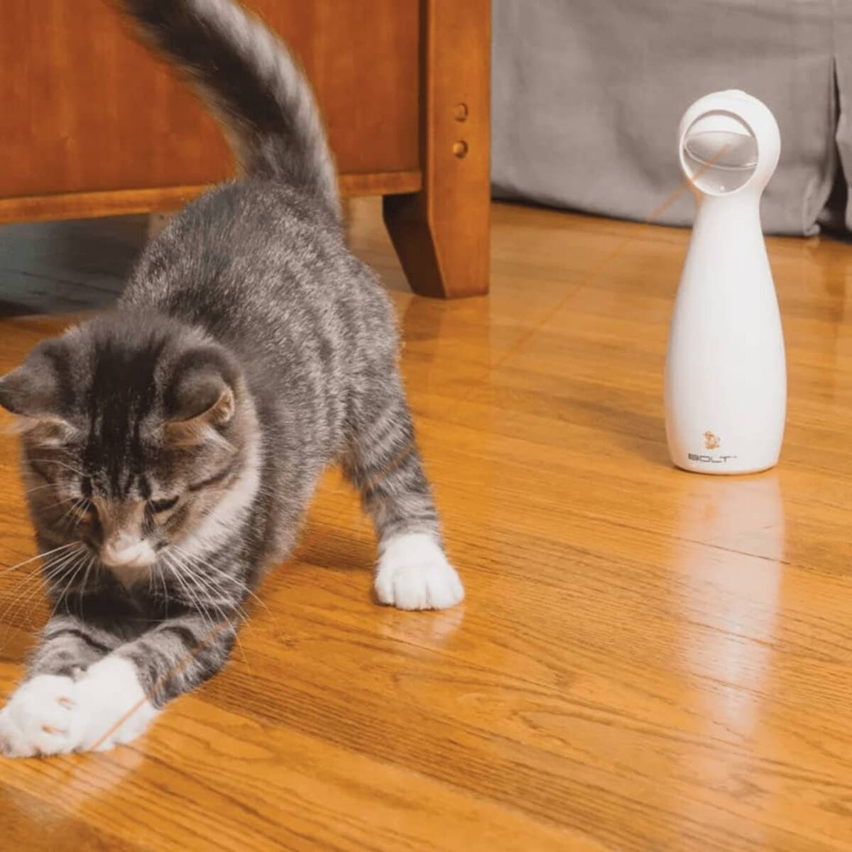 Un gattino tabby grigio che si allunga vicino a un giocattolo per gatti bianco e automatizzato su un pavimento di legno.