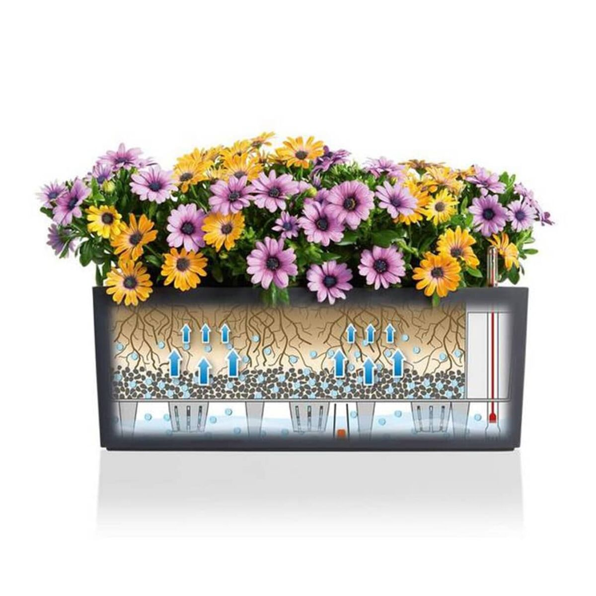 Pflanzer mit Blumen, die Wurzeln und Wasserfluss zeigen. Der Hintergrund ist weiß.