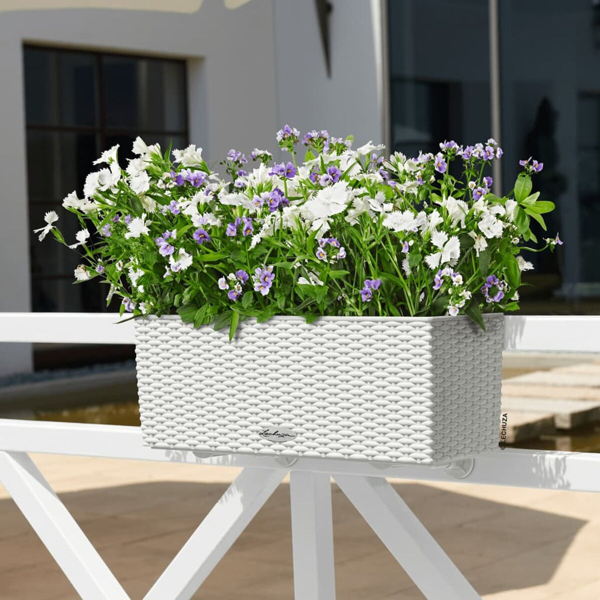 Weißer Pflanzkübel mit Blumen auf weißem Geländer. Blumen sind weiß und lila.