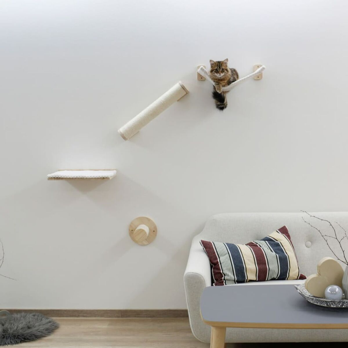 Gatto che si arrampica sul muro. Palo per graffiare beige, cuccia per gatti e mensola. Muro bianco. Divano con cuscino.