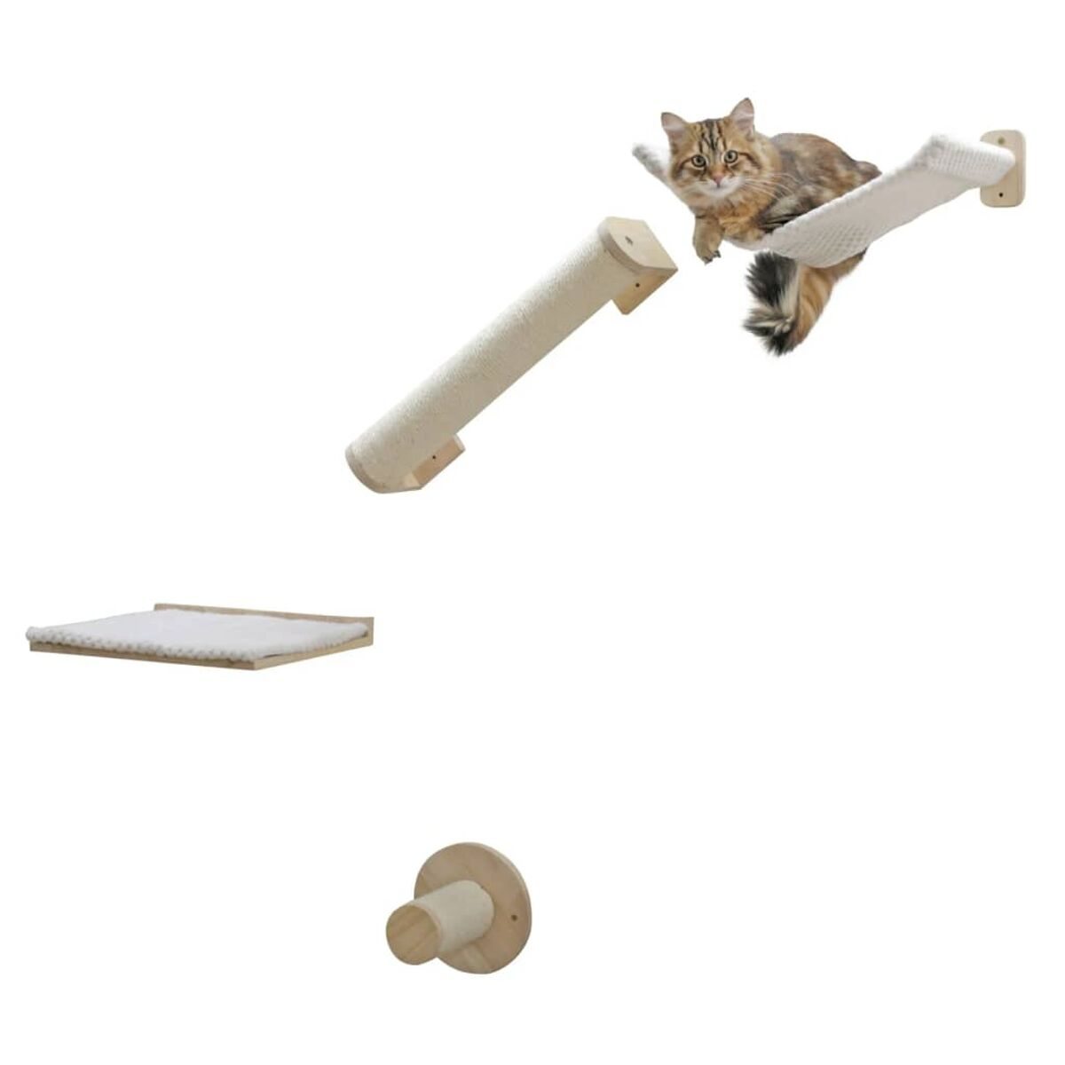 Struttura per gatti con gatto che riposa su un'amaca. Sfondo bianco.