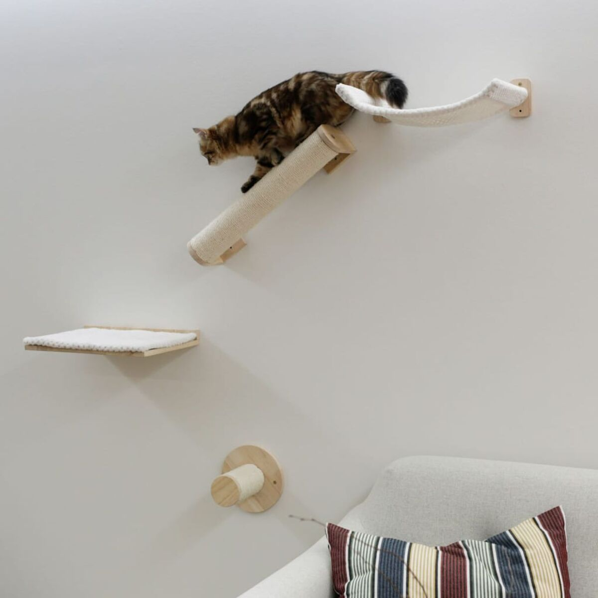 Gatto che scala un sistema di arrampicata per gatti a parete con gradini e amaca.