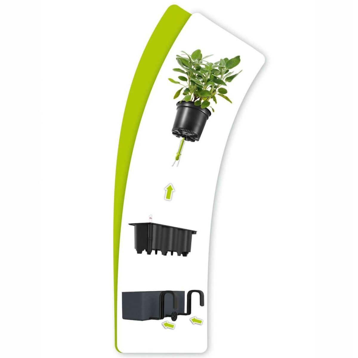 Diagramme montrant le pot, la plante et le système de réservoir d'eau pour l'auto-arrosage.