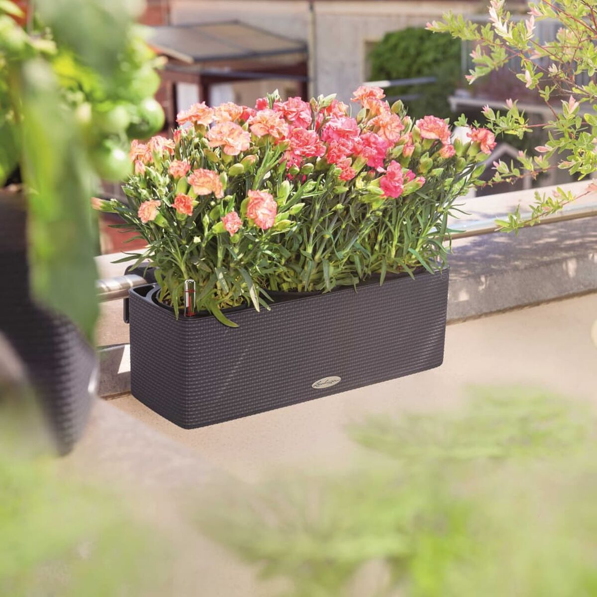 Une jardinière avec des fleurs roses sur un balcon, avec la lumière du soleil.